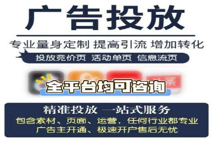 SEM外包服务应用案例分析